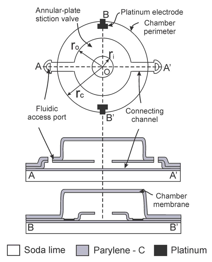 Liquid Encapsulation in Parylene Microstructures Using Integrated ...