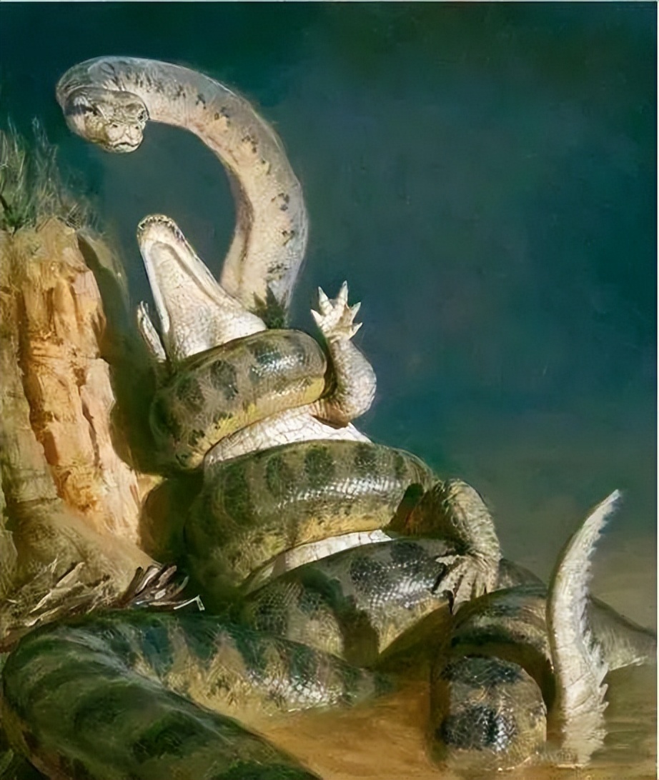 Six venomous snakes in the United States, Australia and India ...