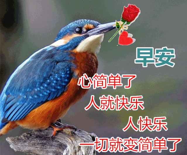 姐们合照句子(早上问候朋友的早上好,阳光温暖的句子,早上好的问候