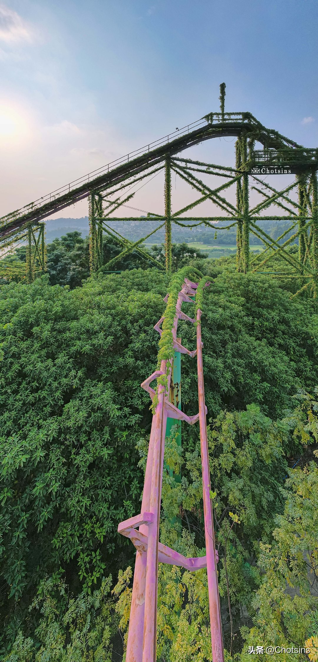 Abandoned roller coaster covered with climbing vines iNEWS