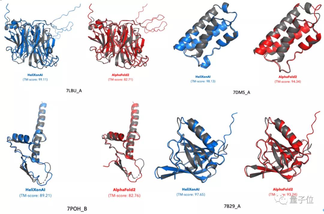 Alphafold2 Protein Example AlphaFold2 was surpassed!Chinese team breaks global protein structure ...