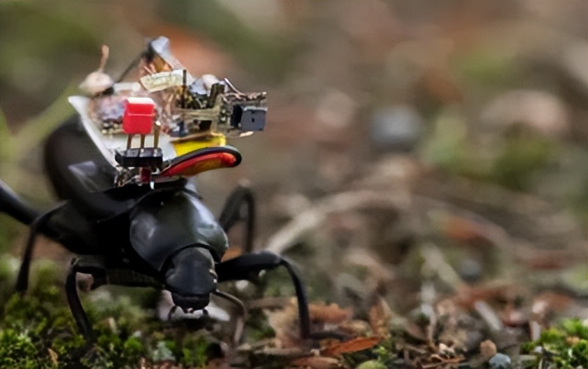 Smart micro-robots have electronic 'brains' that can walk ...