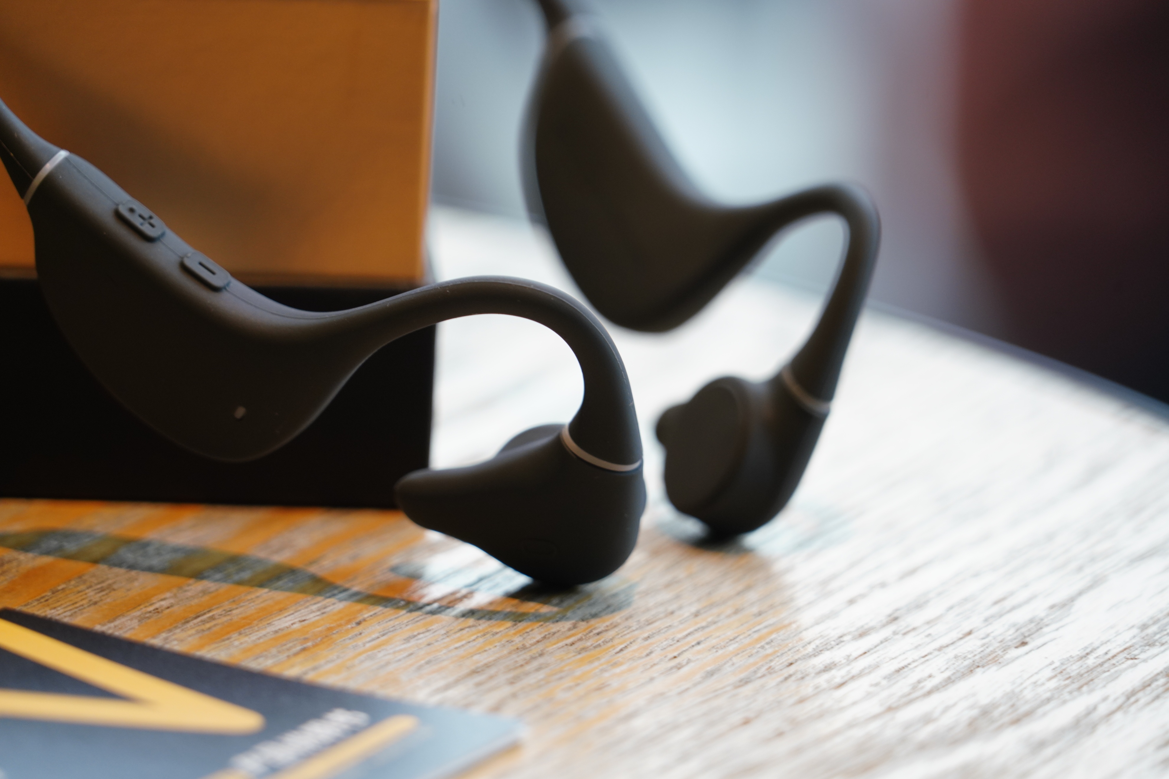 Classic never goes out of style! South Carolina flagship bone