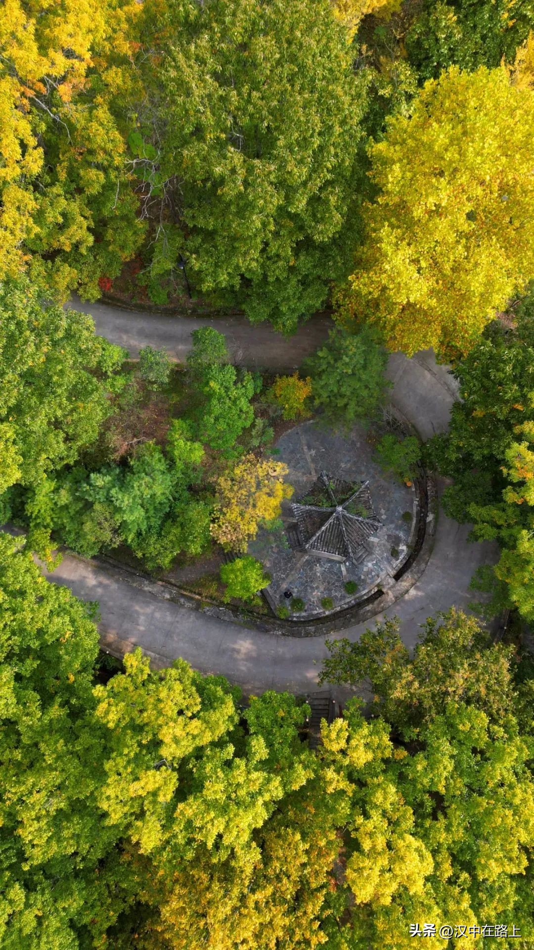 Look!The most beautiful autumn is in the circle of friends of Liuba ...
