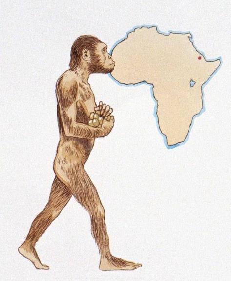 Once Upon a Time in Africa 1: The Origins of Civilization - iNEWS