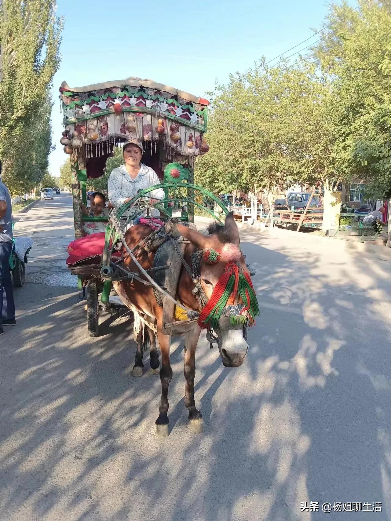 How much does it cost to take a bus to Turpan to bury sand? How much