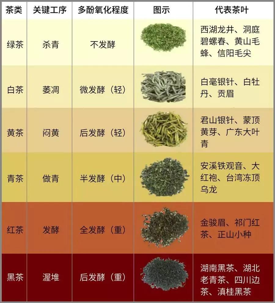 What are the classifications of tea, and what are their respective ...