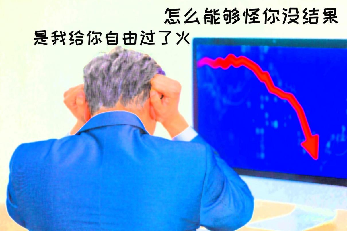 More than 3,000 chip companies have been cancelled!What about the