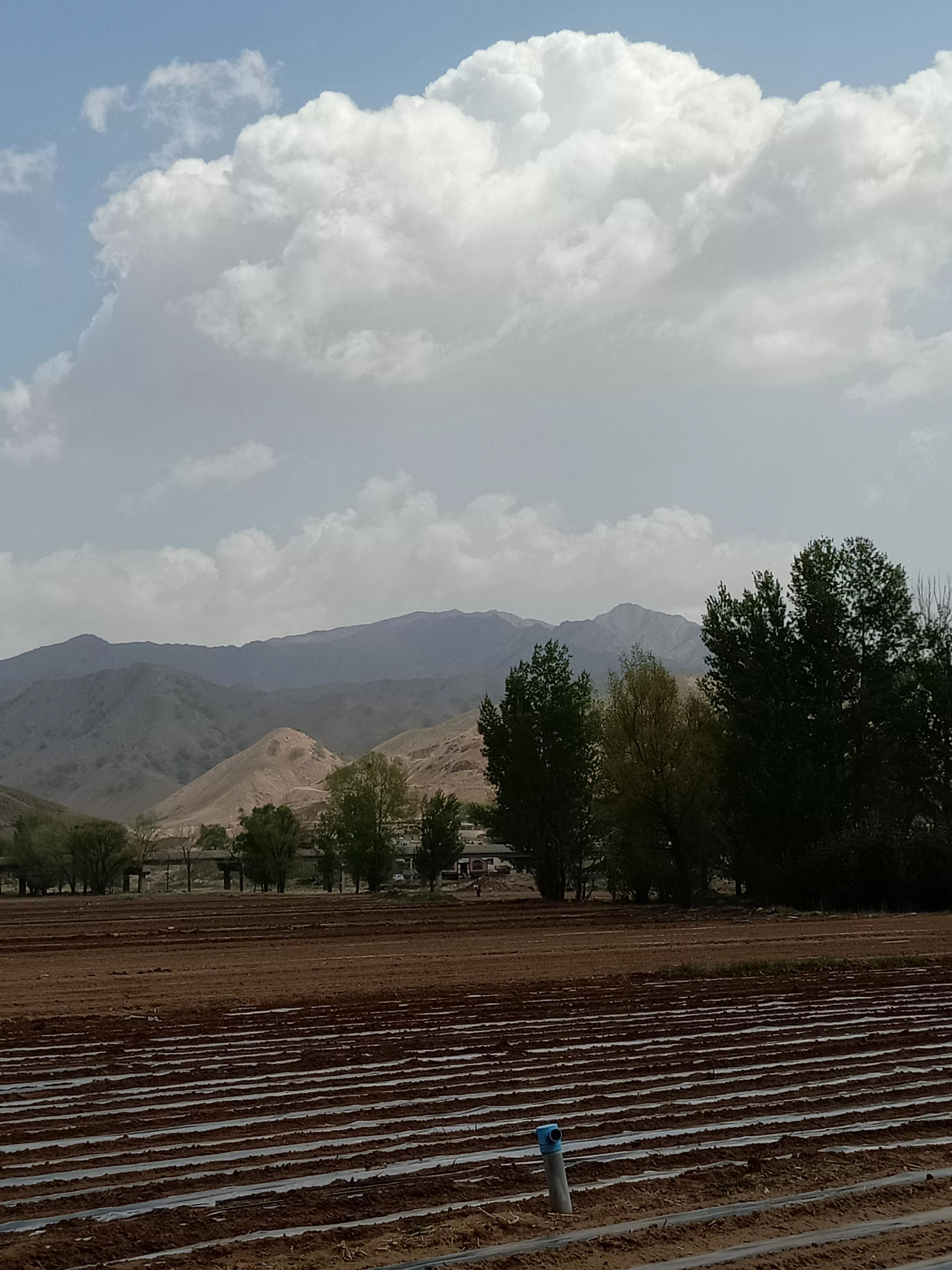 Read and write miscellaneous notes (9) - iNEWS