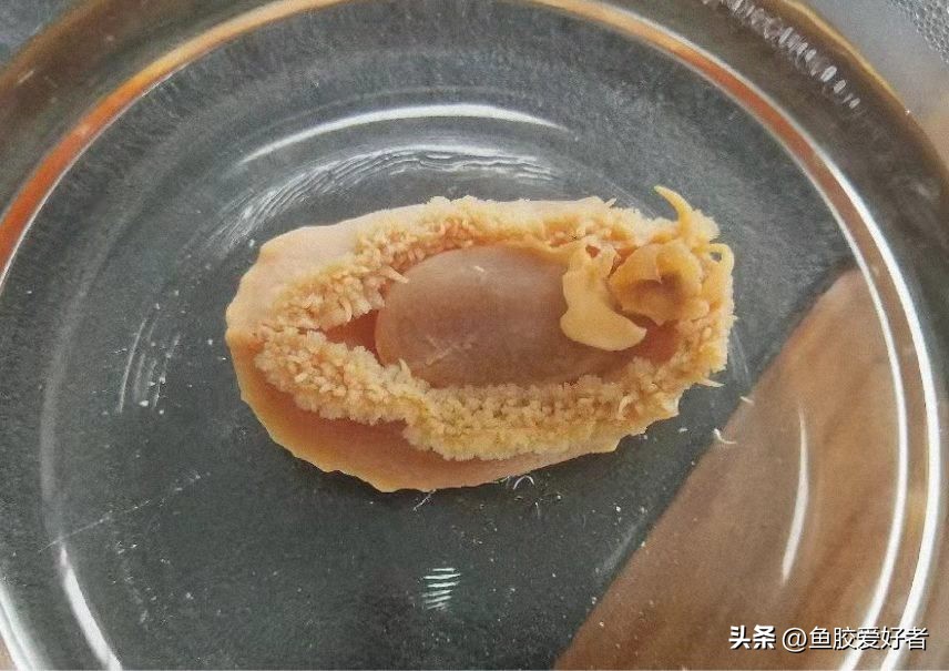 Why is dried abalone more valuable than fresh fish?It turns out that