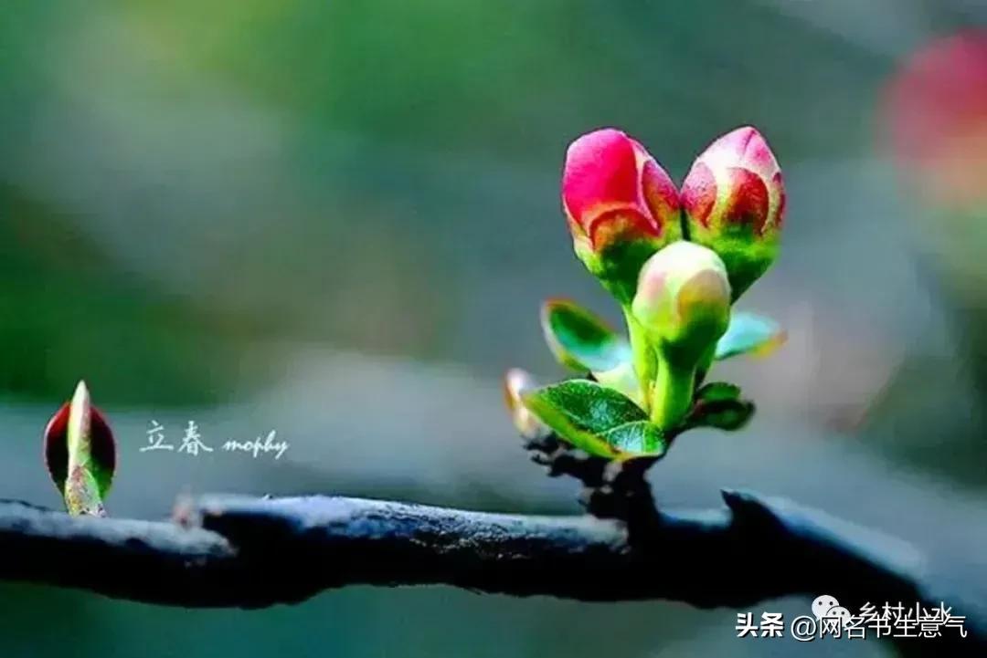 Con Tos Spring Spring Love·Unlimited Spring (Original Prose Poetry) - iNEWS
