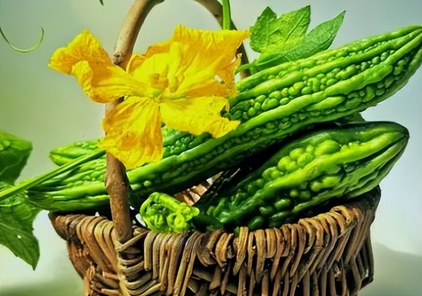 Can bitter gourd lower uric acid? Doctor These 5 kinds of food are