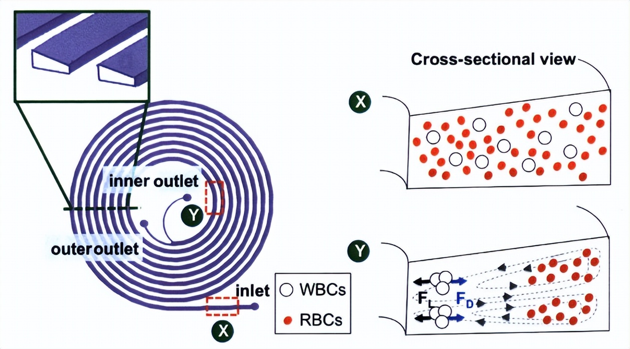 High-Throughput Microfluidics for Cell Isolation and Single-Cell ...