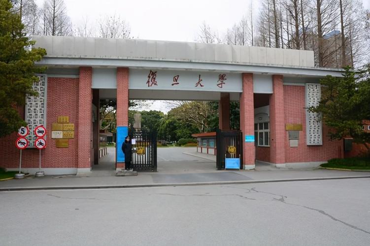 文科大学排名