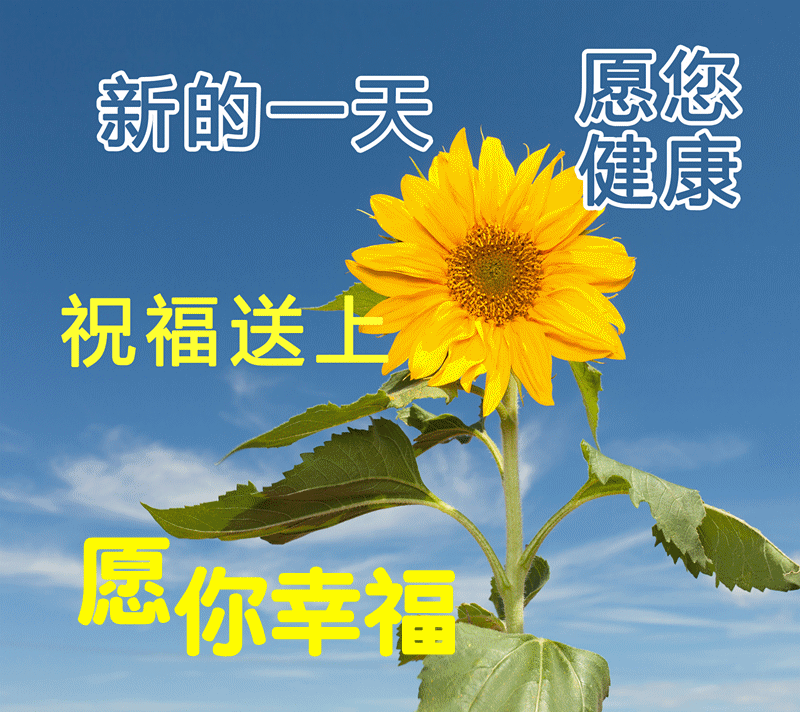 Some things, you really don't see clearly, see clearly, heartache iMedia