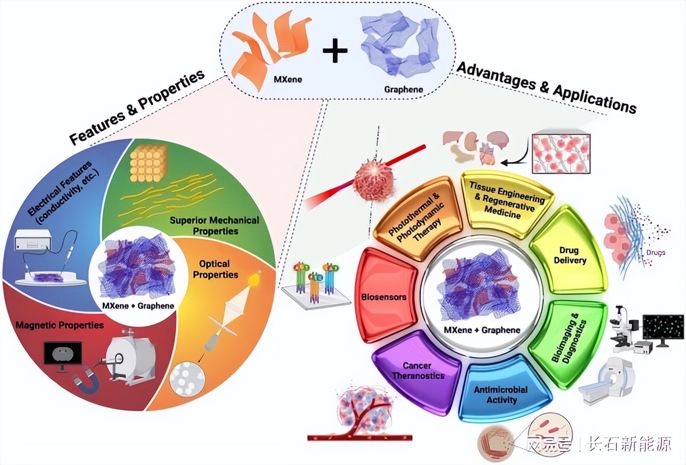 Application Potential Of MXene-graphene Composites In Biomedicine - INEWS