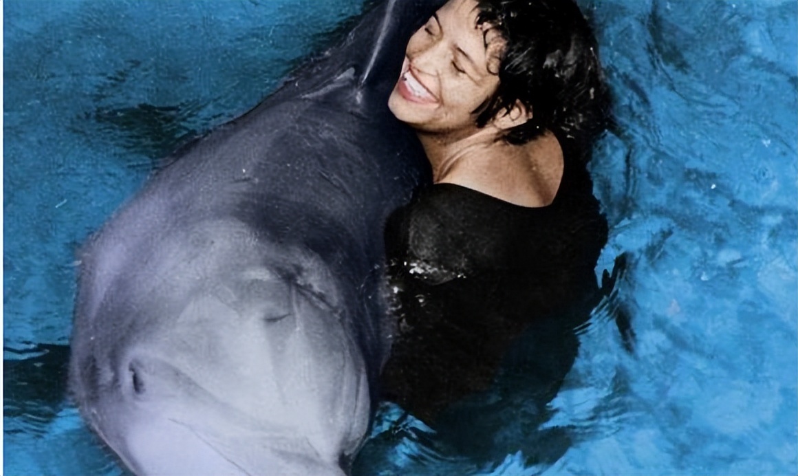 What kind of shooting techniques and scene processing are used in "The