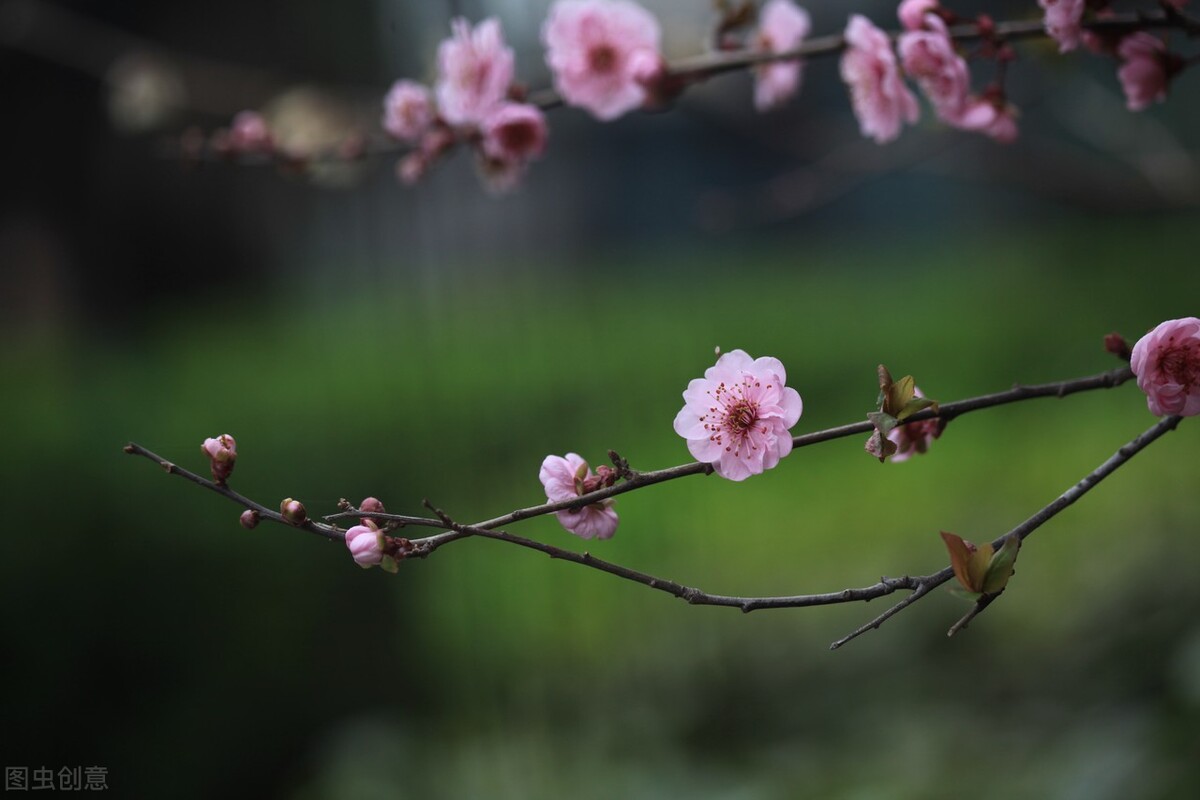 "Partnering for 5 years but paying a lifetime of savings", the 56year