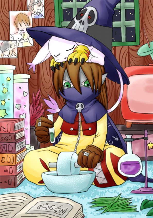 The two knights who are proficient in high-level programming languages ...