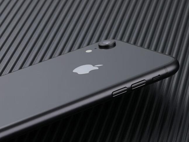 The size of the iPhone xr - iMedia