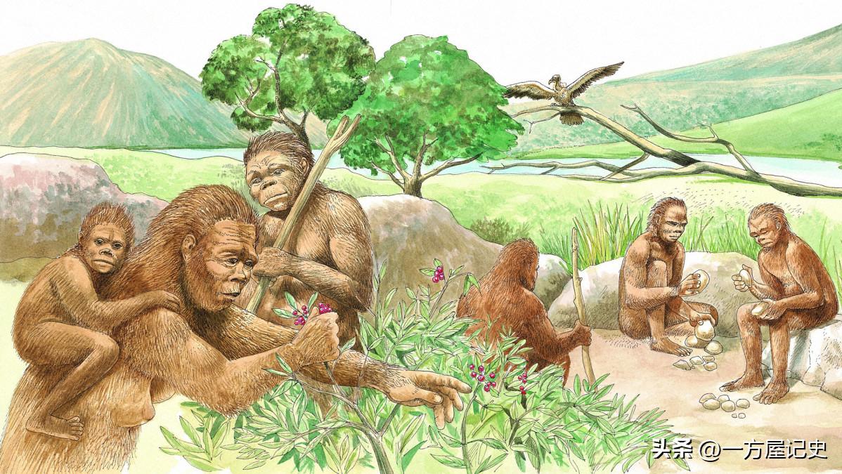 Prehistoric Human Civilization - Human Evolution - iNEWS