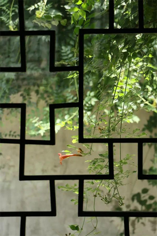 Suzhou gardens are for tourists, only the art garden belongs to Suzhou