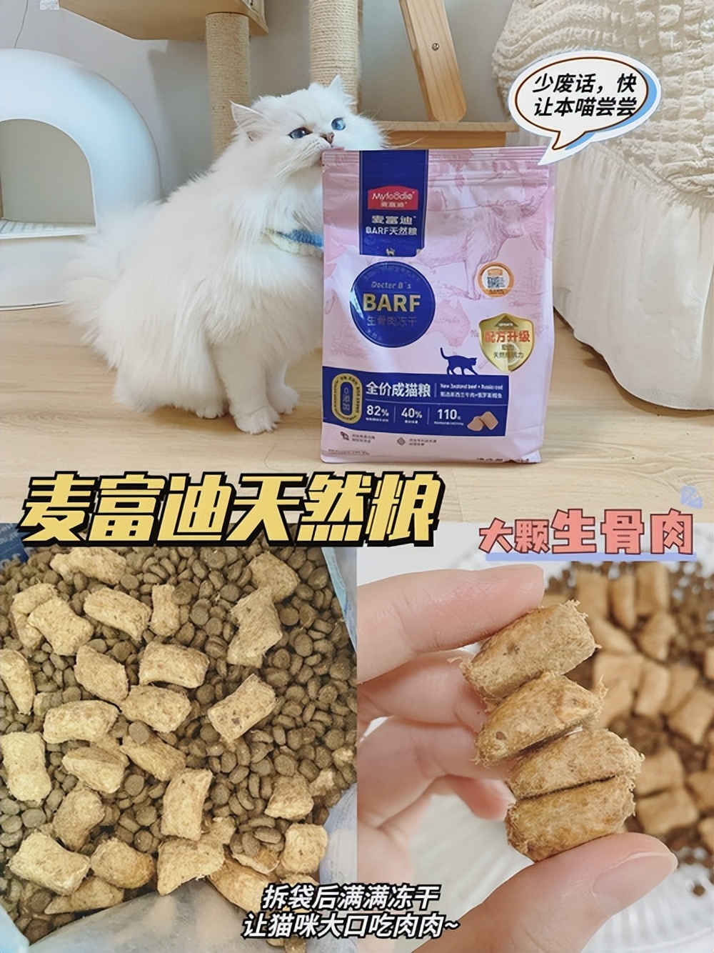 Why do cats not eat or drink? Why do cats refuse to eat and drink? iNEWS