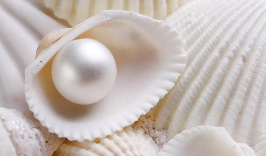 How are pearls formed? Are they all produced from mussels? - iNEWS