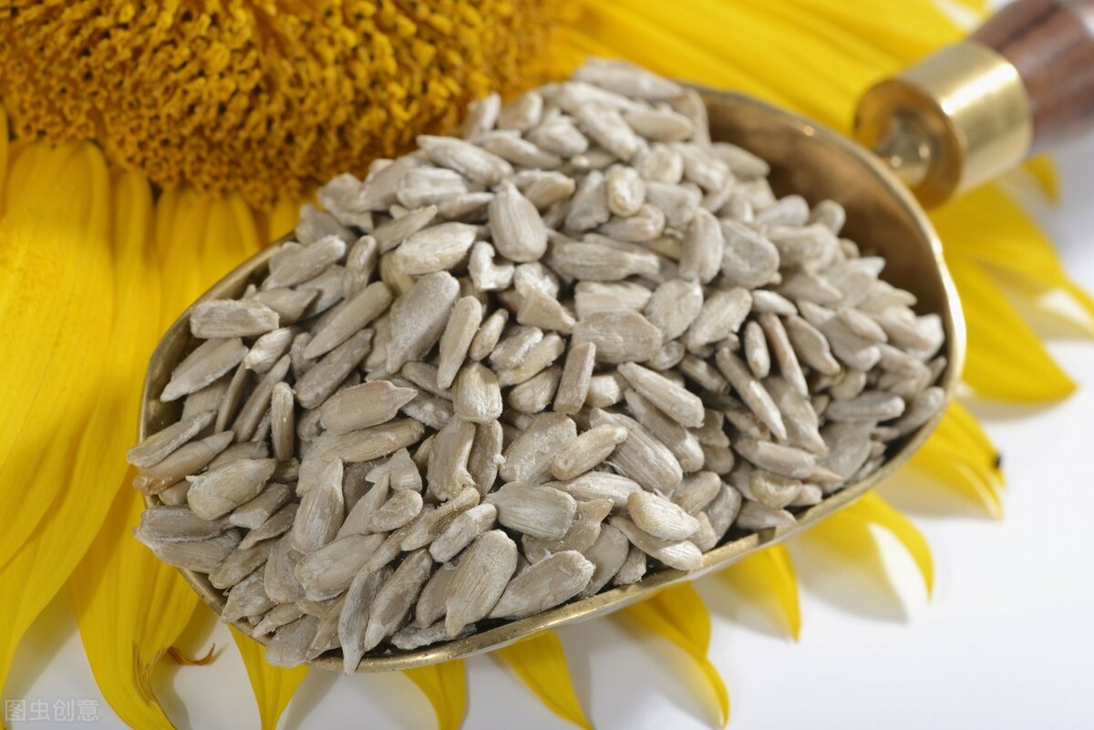 Kazakhstan temporarily restricts the export of sunflower seeds and ...