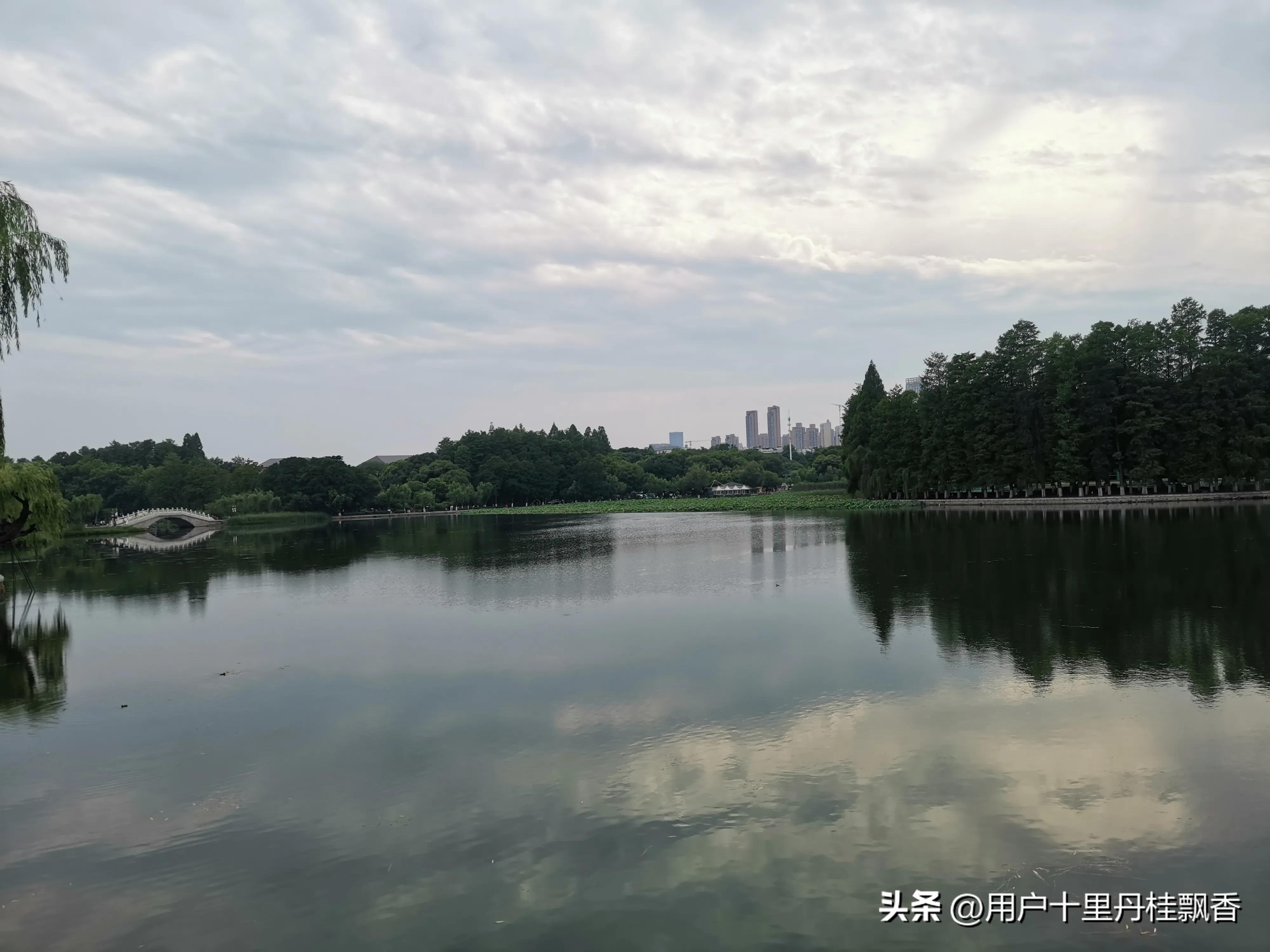 Check in Tingtao District of Wuhan East Lake - iMedia