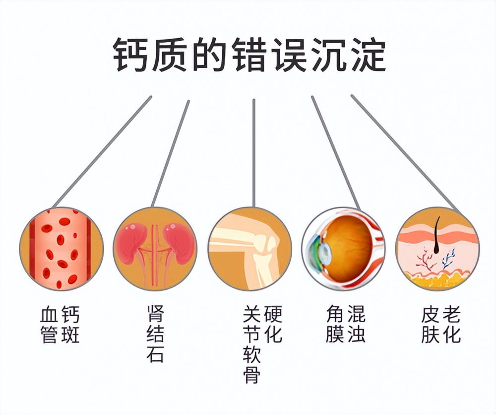 What is the role of vitamin K2? iNEWS