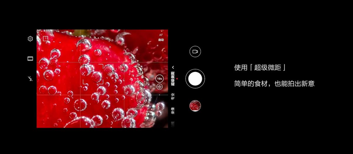 chinese new year is here again music express