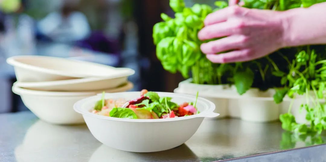 Finland, where plastic packaging will be replaced? iNEWS