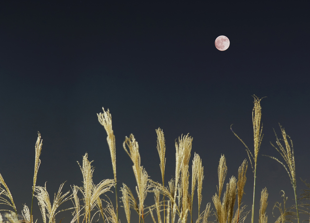 Since ancient times, autumn has been sad and lonely. I say that autumn