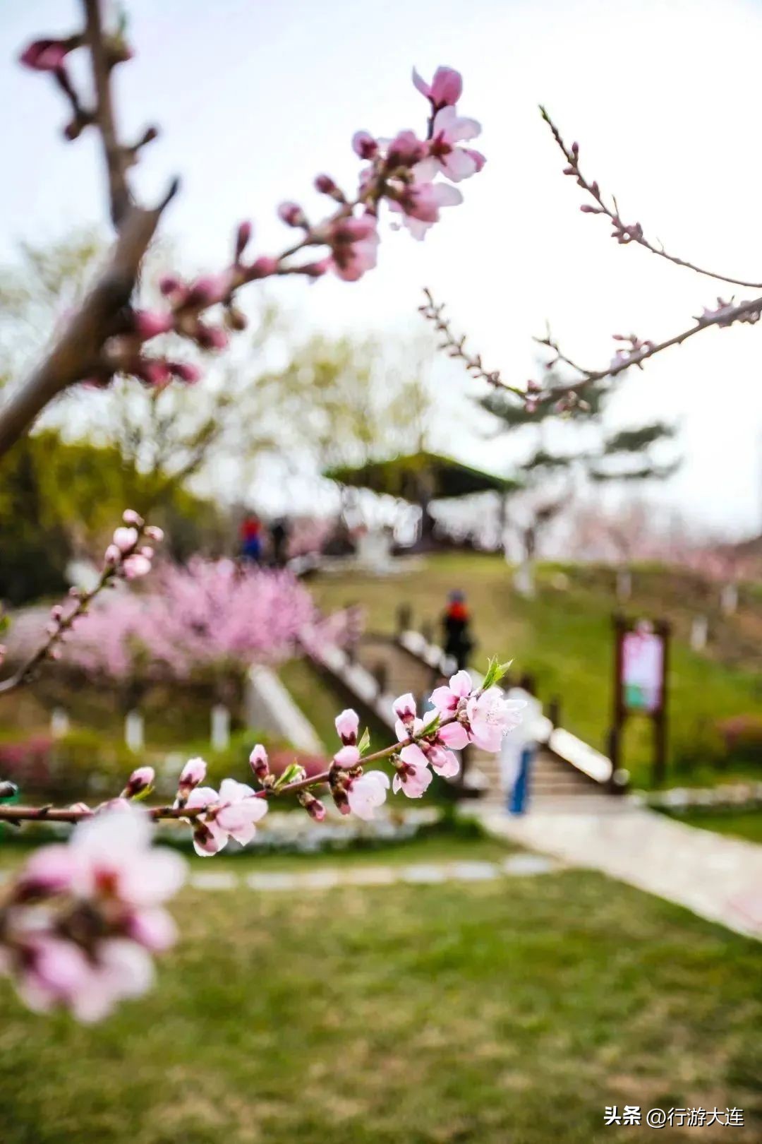 Accept this Qingming outing guide and meet the most beautiful April day ...