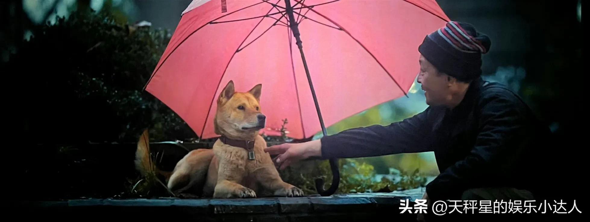 The threeday box office of "Hachiko" broke through 50 million! "Batong