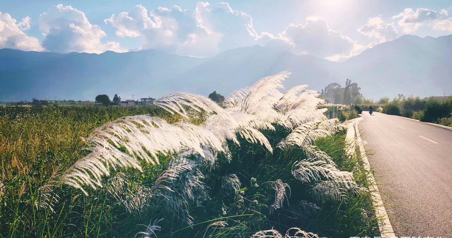 "Flowers, Snow and Moon" in Dali iNEWS