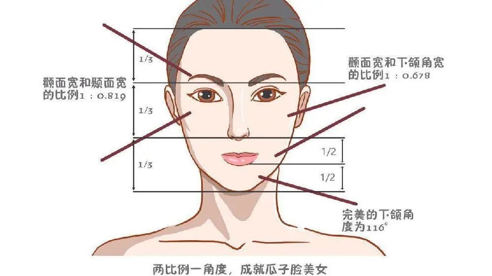你是「骨相美」還是「皮相美」?不妨對照一下! - 資訊咖