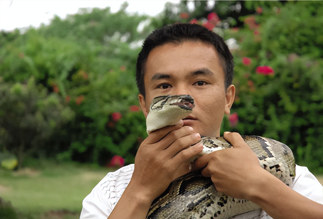 Man saves a critically ill snake, grows up to a hundred pounds of giant ...
