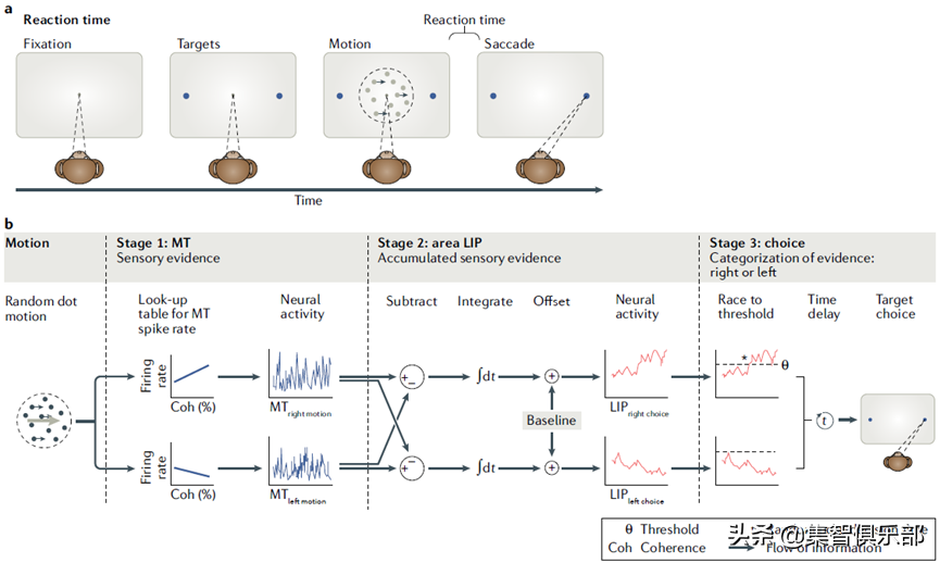 Frontiers in Neural Complex Systems: Two Ideas about the Cognitive ...