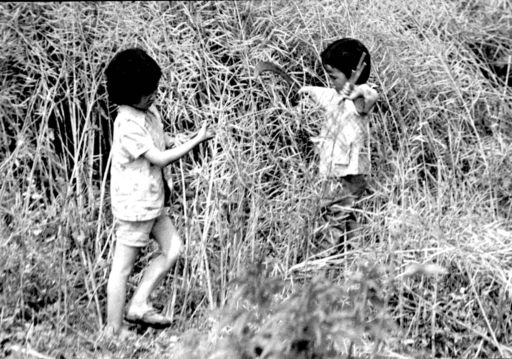 The Charm of Life (97) Zhang Rong's Photography Works Appreciation No ...