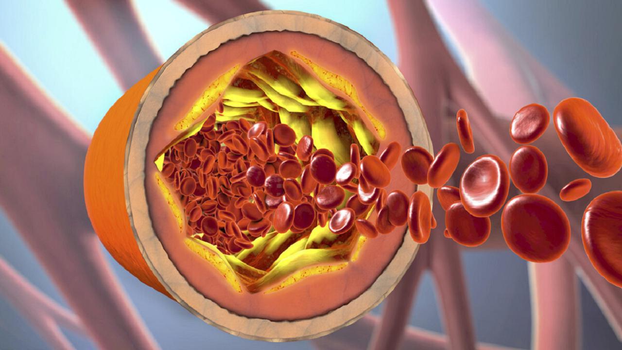 Are Peanuts the "Bane" of Cardiovascular Disease or a Nutritious Good