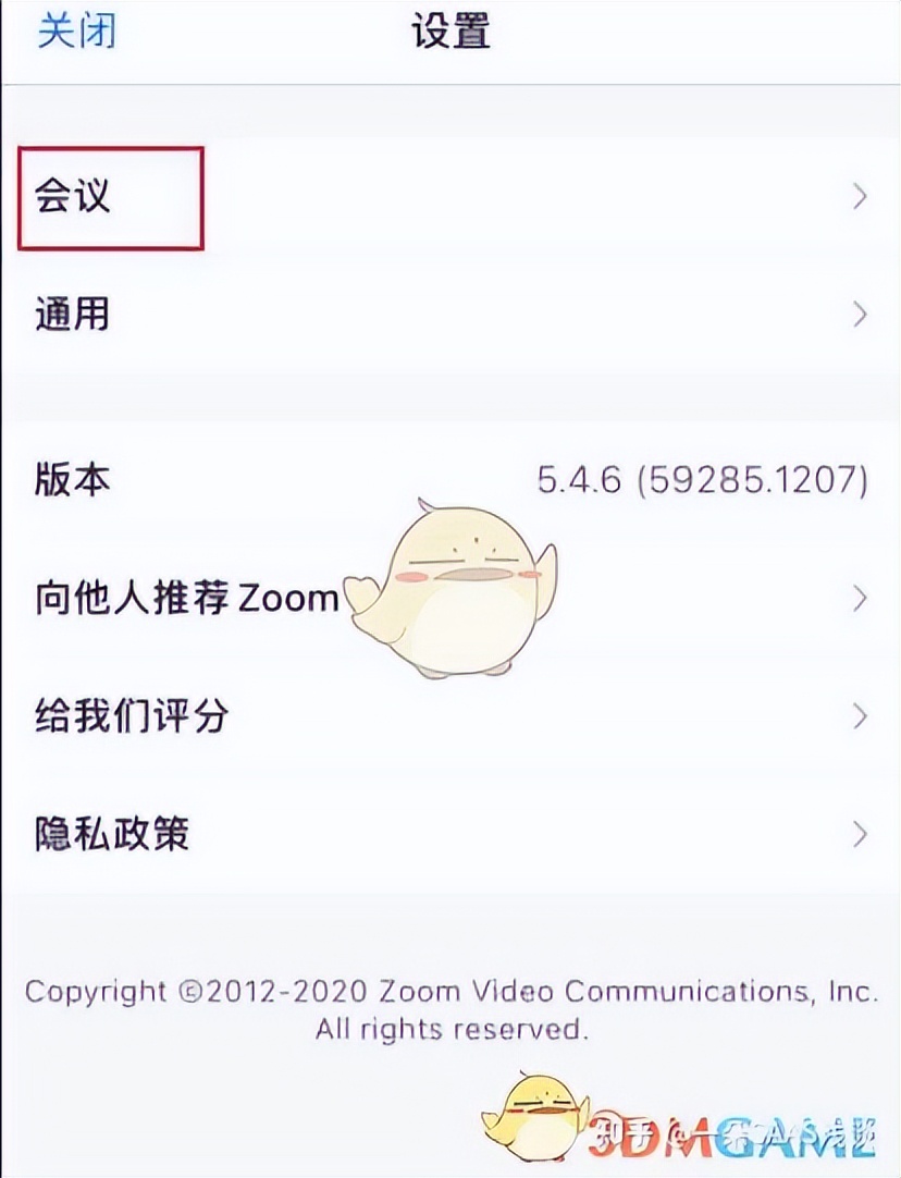 What is the use of the mirroring function of Zoom meeting video? iNEWS