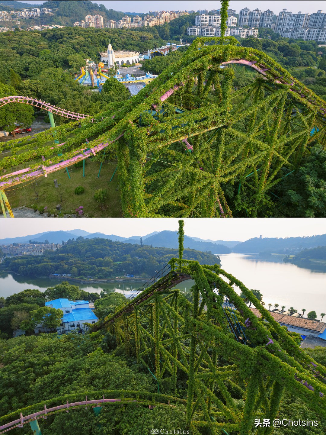 Abandoned roller coaster covered with climbing vines iNEWS
