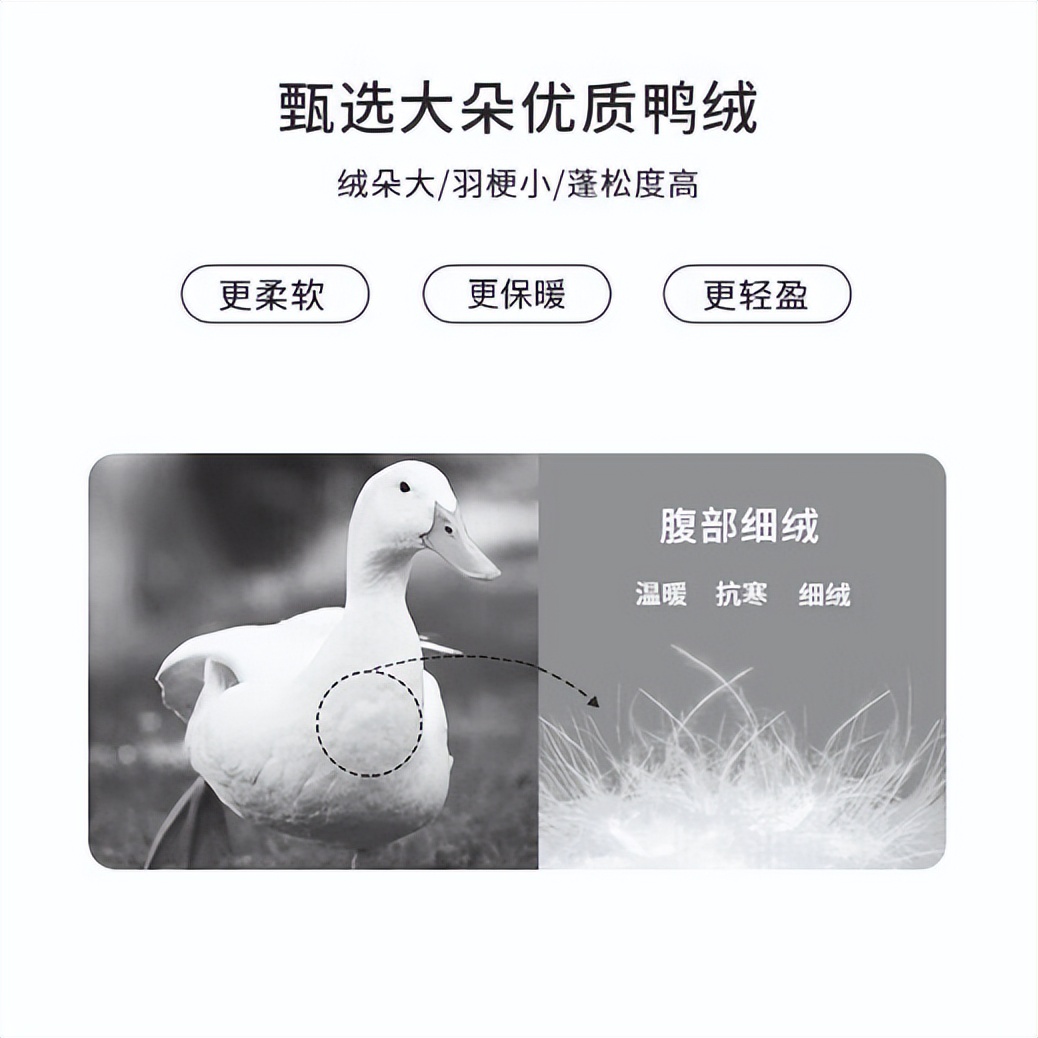 How to choose a quilt core for autumn and winter? Goose down quilt