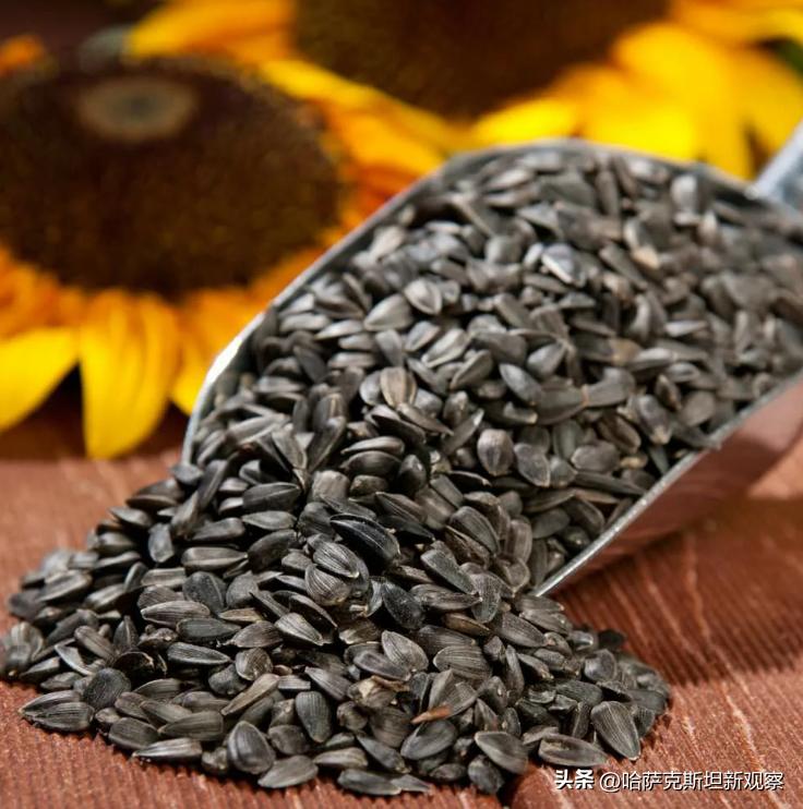 Kazakhstan to impose tariffs on sunflower seed exports from January ...