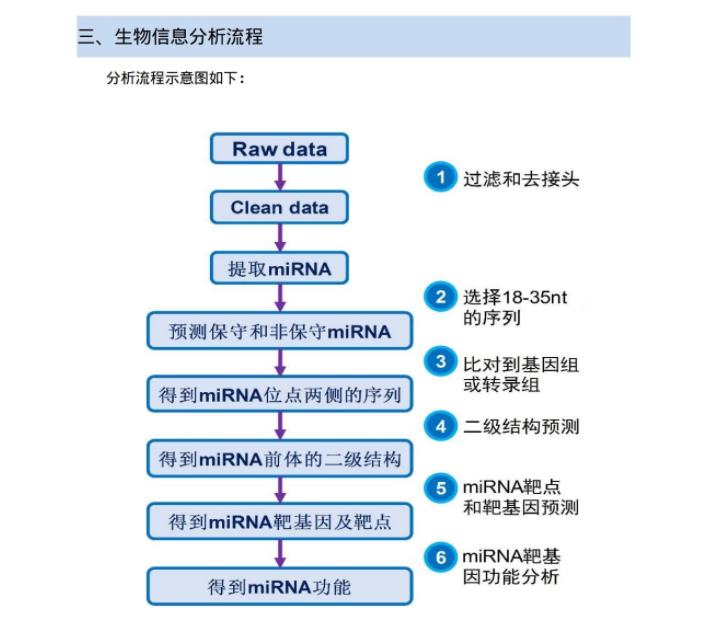 IncRNA and miRNA bioinformatics research routines, easy to use - iNEWS