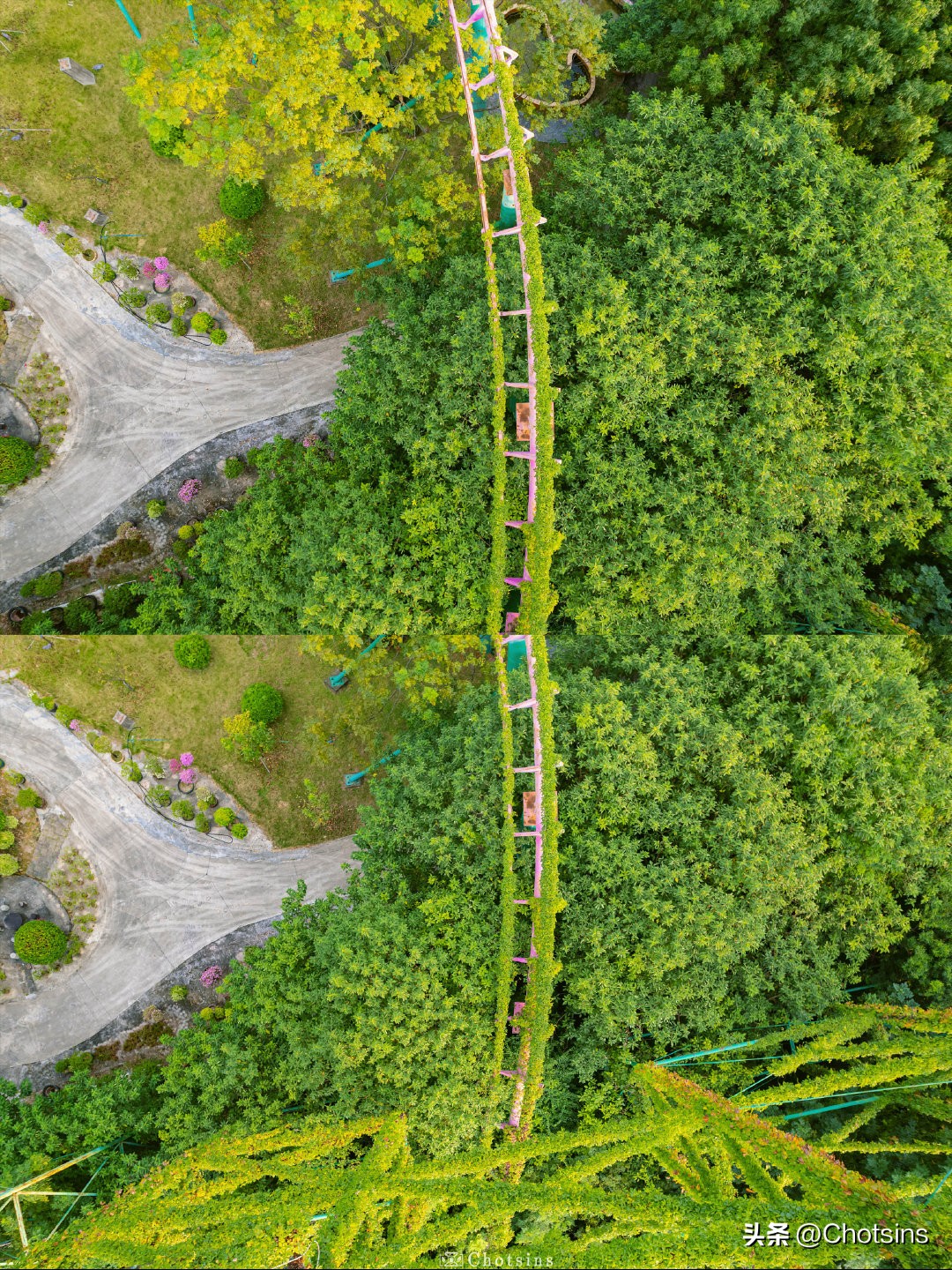 Abandoned roller coaster covered with climbing vines iNEWS