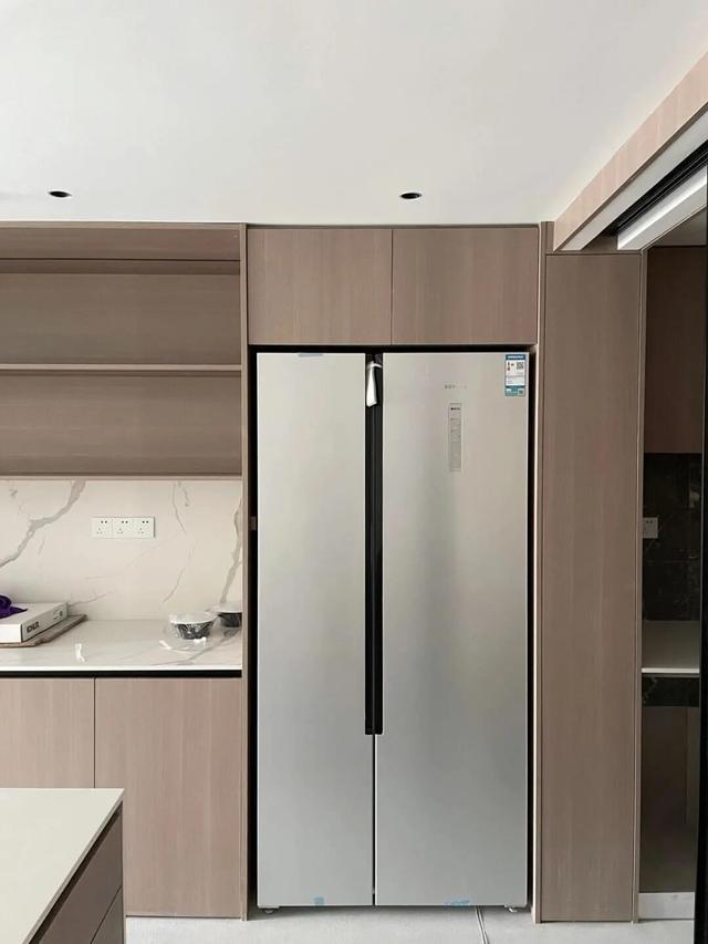 Why do many people choose builtin refrigerators? Is it worth investing