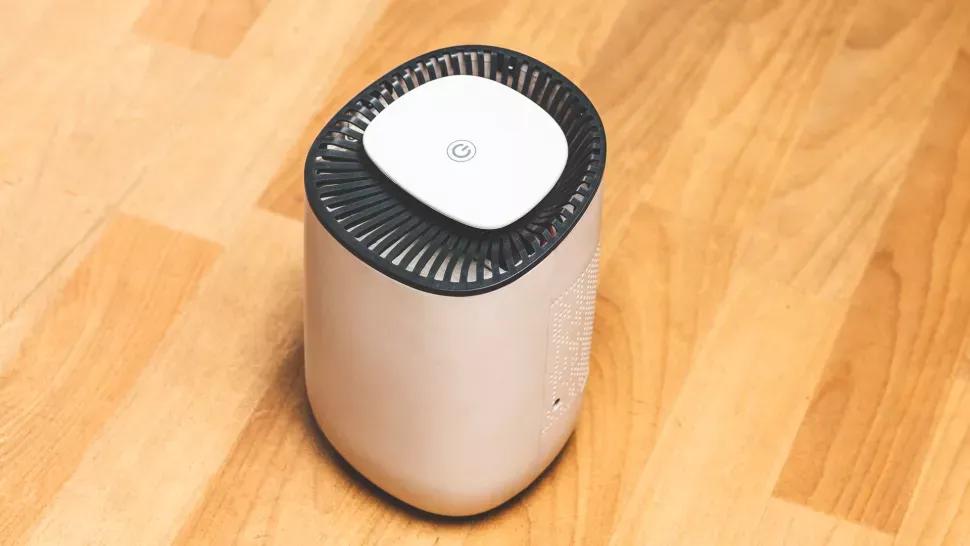 Do dehumidifiers help eliminate mold? iNEWS